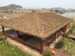 -白塔湖国家湿地公园