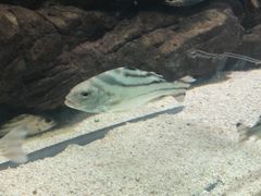-苏州海洋馆