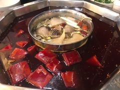 -陈眼镜火锅(总店)