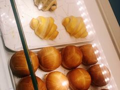-BLACKSWAN黑天鹅(环球店)