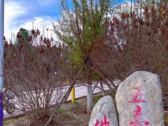 -五台山风景名胜区