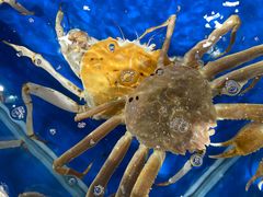 -盒马鲜生(顺义店)