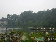 -杭州西湖风景名胜区-北街寻梦