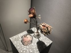 -三只熊皮肤管理中心旗舰店