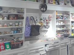 -奶油猫DIY·手工·团建·美陈搭建(宝山万达店)