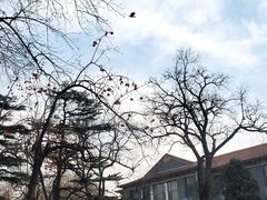 -北京晚报·北京日报社