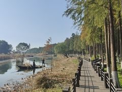 -苏州太湖湖滨国家湿地公园