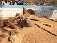 -石家庄市动物园