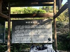 -杨家堂村