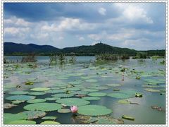 -石湖景区