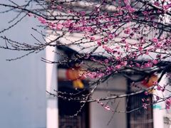 -石塘人家