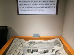 -洛阳周王城天子驾六博物馆