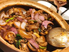 -胡须佬鸡煲四季火锅店(石厦西村直营店)