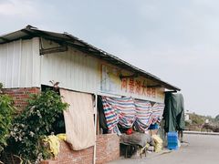 -海鸥岛河景湖大排档
