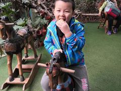 -呀路古热带植物园