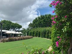 -布里斯班南岸公园