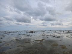 -北海金海湾红树林生态旅游区