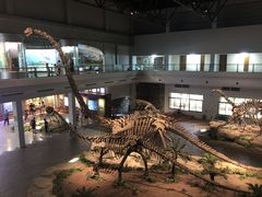 -自贡恐龙博物馆