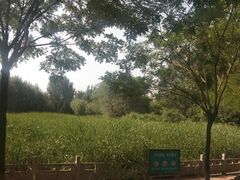 -东升八家郊野公园