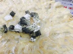 -官塘陈记鱼生·潮汕砂锅粥·牛肉火锅(潮枫路总店)