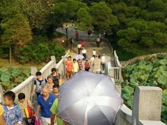 -雀儿山公园