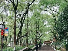-石峰公园