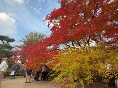 -常寂光寺