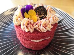 -ZING COFFEE 镜咖啡