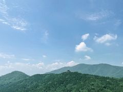 -北京西山国家森林公园