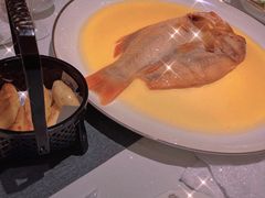 -甄御•海鲜新青岛菜(麦岛店)