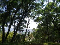 -青芝山风景名胜区