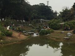 -东莞植物园
