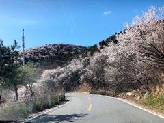 -妙峰山风景名胜区
