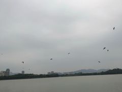 -NOTOOCAFE不二咖啡馆(岩前店)