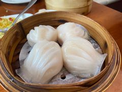 -添运来(茶园奥园广场店)