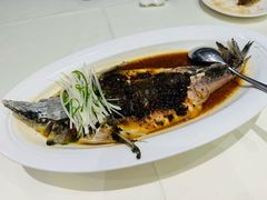 豆豉蒸鲟龙鱼-万龙洲海鲜(大兴绿地缤纷城店)