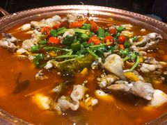 -沪小二炭火蛙锅(淮海中路美食不夜城店)