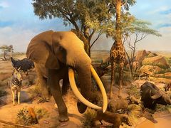 -陕西自然博物馆