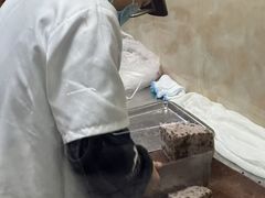 -杨招娣糕点(装驾桥巷店)