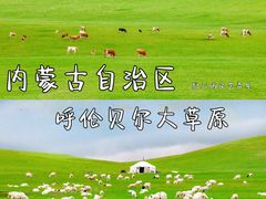 -呼伦贝尔大草原