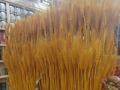-三锅莊·牦牛肉火锅·香格里拉特色藏餐宴请餐厅(昆明创始店)