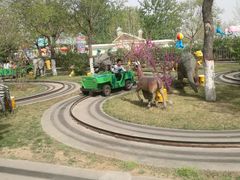 -辛玛王国游乐园