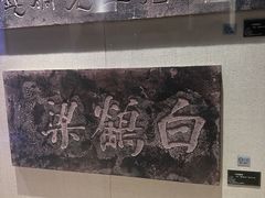 -白鹤梁水下博物馆