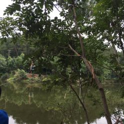 -成都飞越丛林(锦绣城园区)