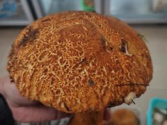 -双喜农庄·菌香园(安居家园店)