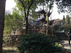 -上海佘山国家森林公园西佘山园