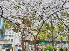 -玛格萝妮比萨屋(四平店)