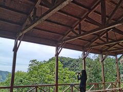 -大岭沟猕猴桃谷风景区