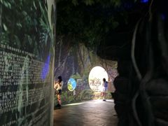 -江和美海洋公园