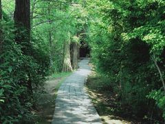 -东湖落雁景区
